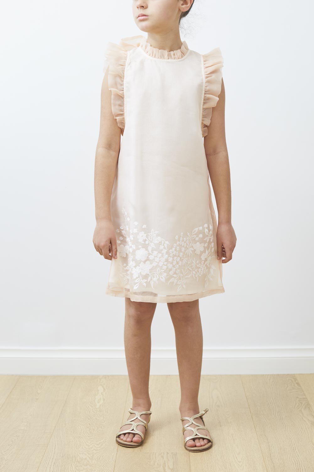 Embroidered Organza Dress